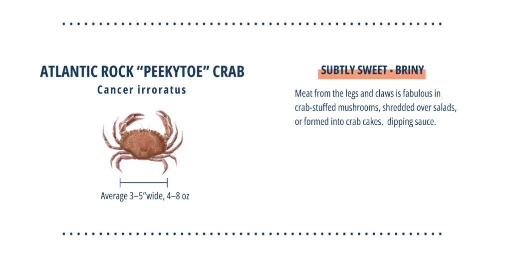 7 Types of Crab You Should Eat Vital Choice