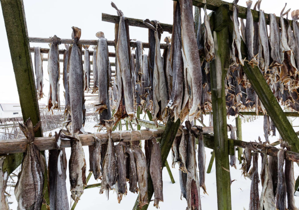 Photo of dried fish