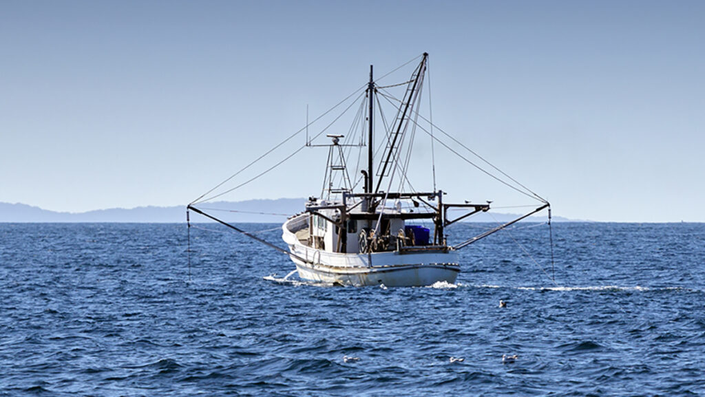 How long can you keep frozen fish with a fishing boat on the ocena.
