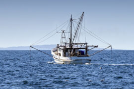 How long can you keep frozen fish with a fishing boat on the ocena.