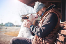 Moments of love between dog and his owner. Pets and animals conc