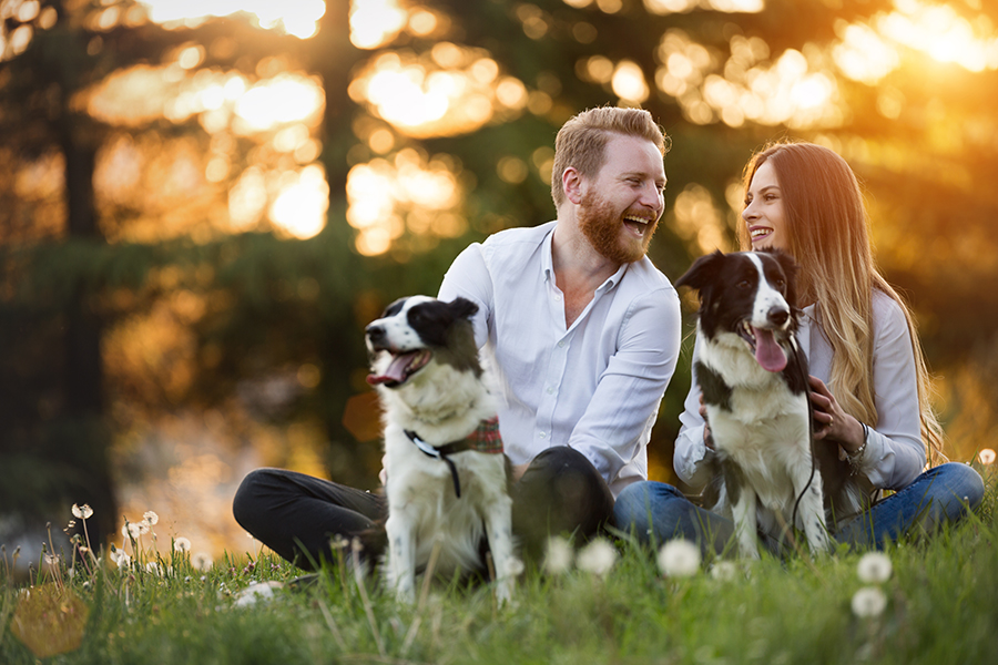 A photo of a young man and woman in a field with two of their beloved pets.