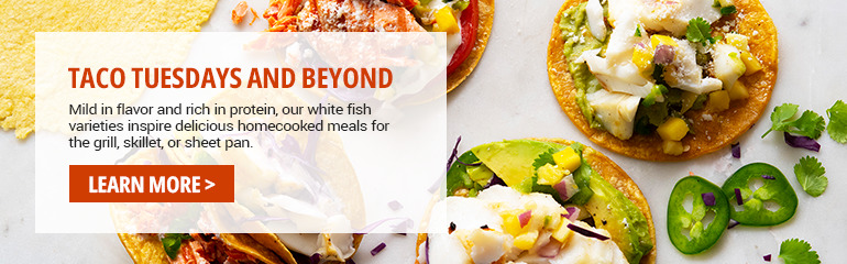 Salmon Taco Tuesday banner ad collection link