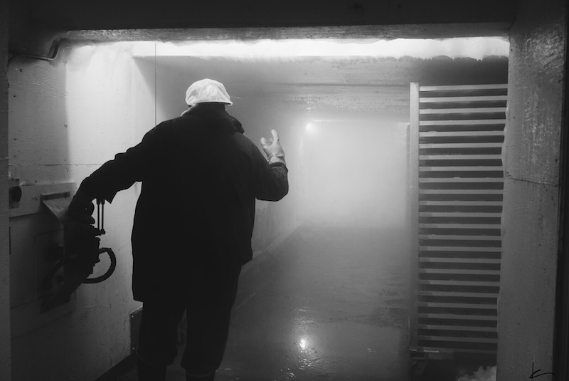 A photo of a frozen fish worker approaching a commercial freezer.