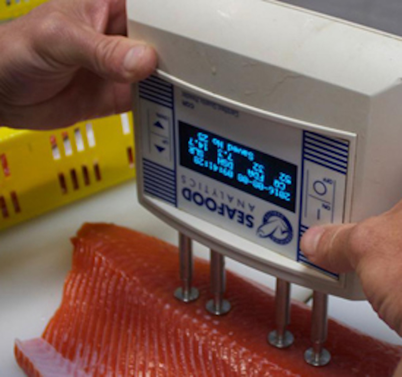 A machine measures whether frozen fish is fresh by assessing its electric conductivity.