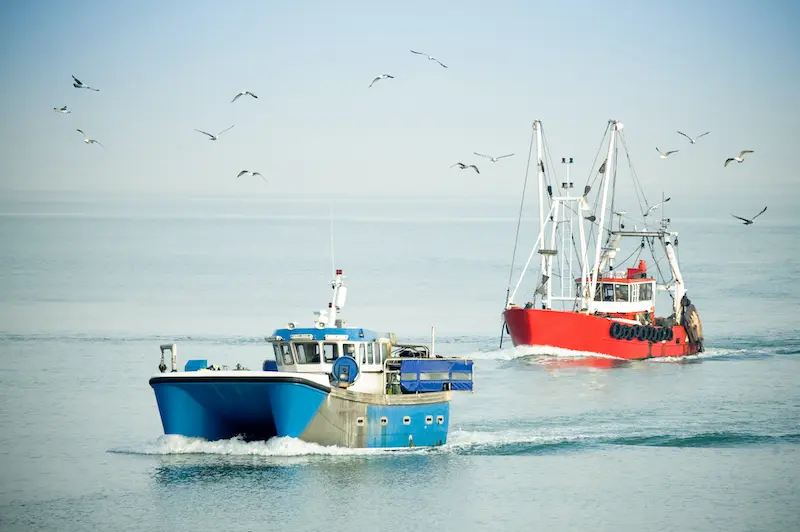 A photo of frozen fish trawlers at sea.