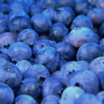 Organic Blueberry Recipes – The Ultimate Sweet Treat