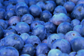 Bundle_of_Blueberries_(Unsplash)