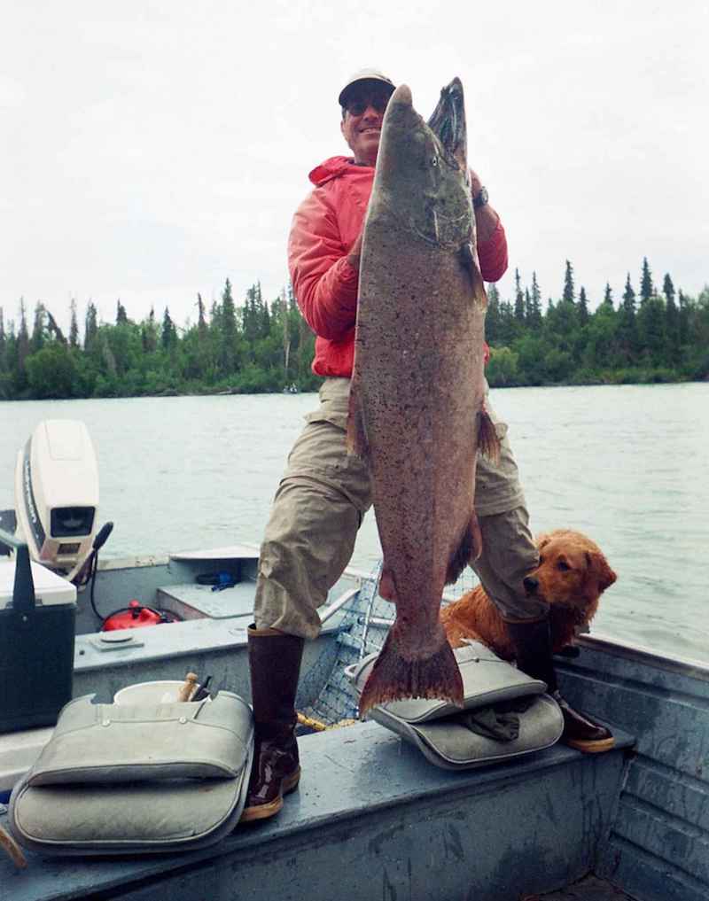 king salmon fisherman and 80 pound salmon