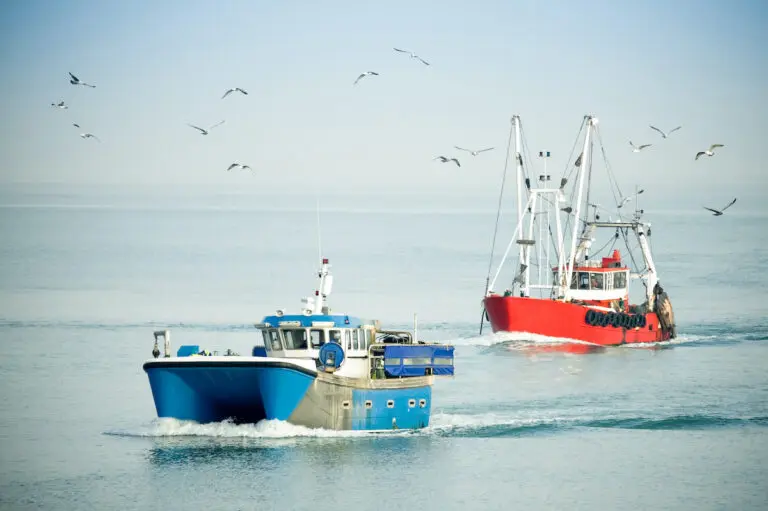 History of Vital Choice with two fishing boats on the ocean.