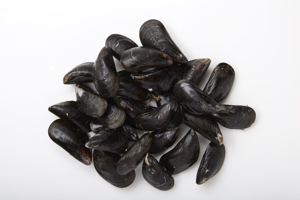 How to Eat Mussels Around the World Vital Choice Blog