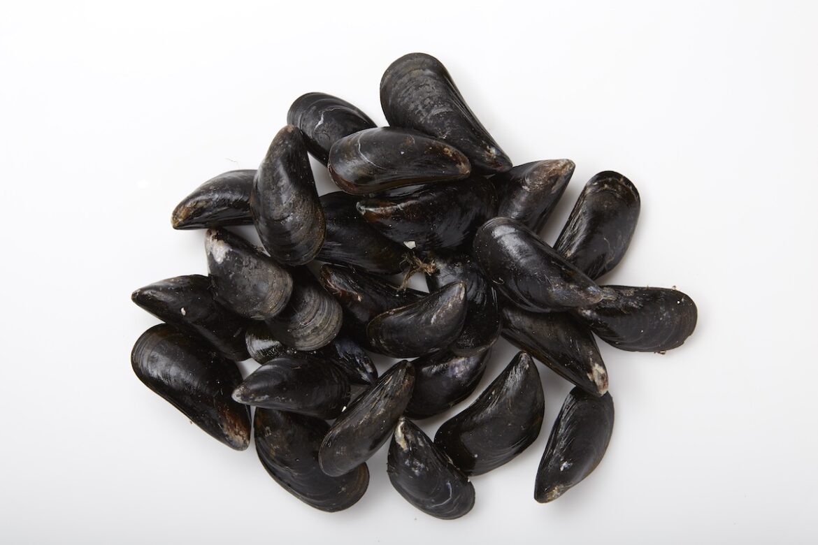 How to Eat Mussels Around the World Vital Choice Blog