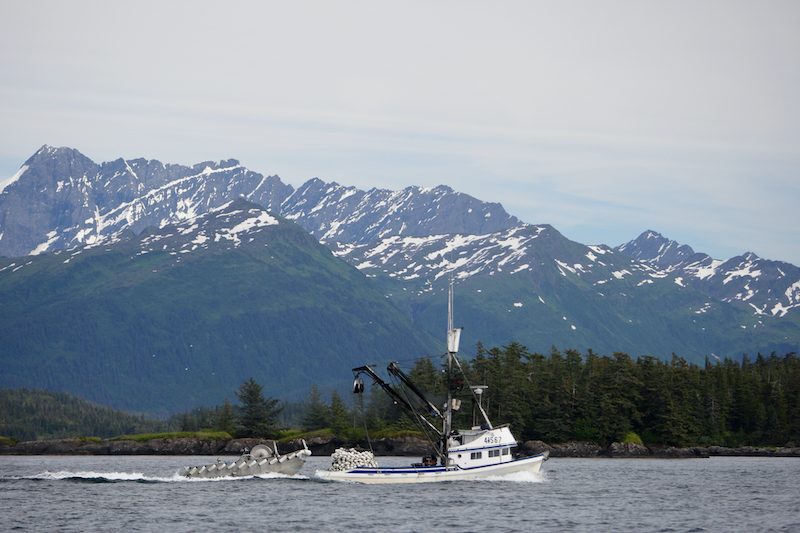 Alaska Seafood Salmon Seiner ST