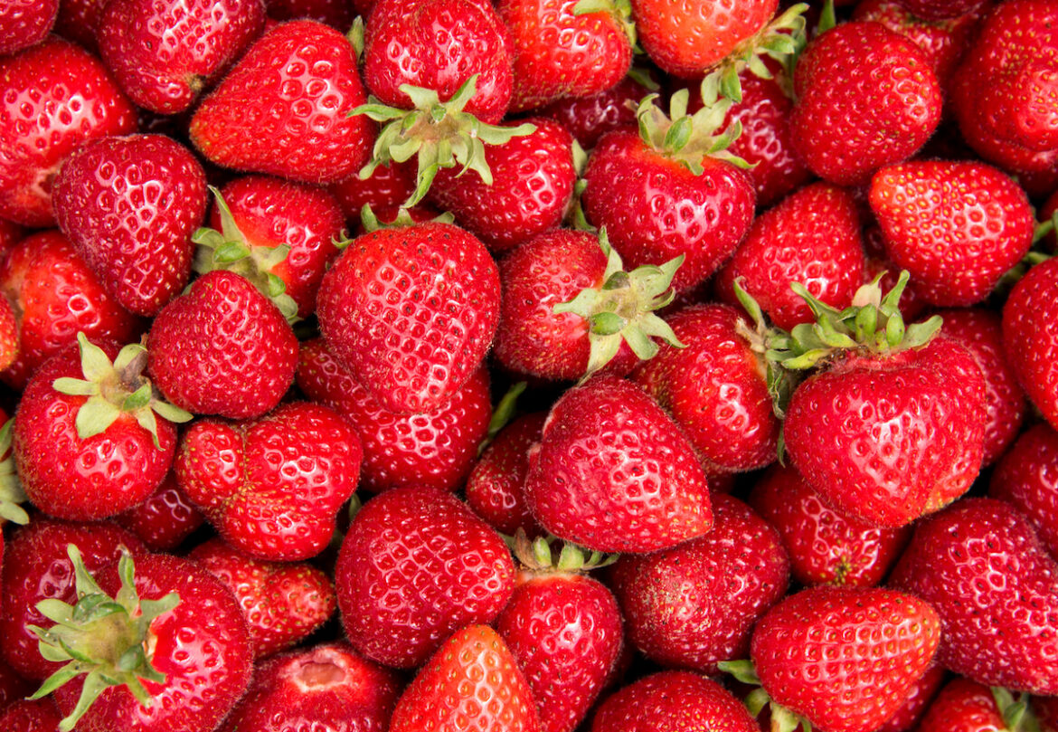food-lore-history-archives-vitalchoice-blog