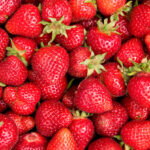 Strawberries, the Splendor of Spring