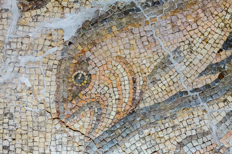 Ancient seafood recipes Roman mosaic of fish.