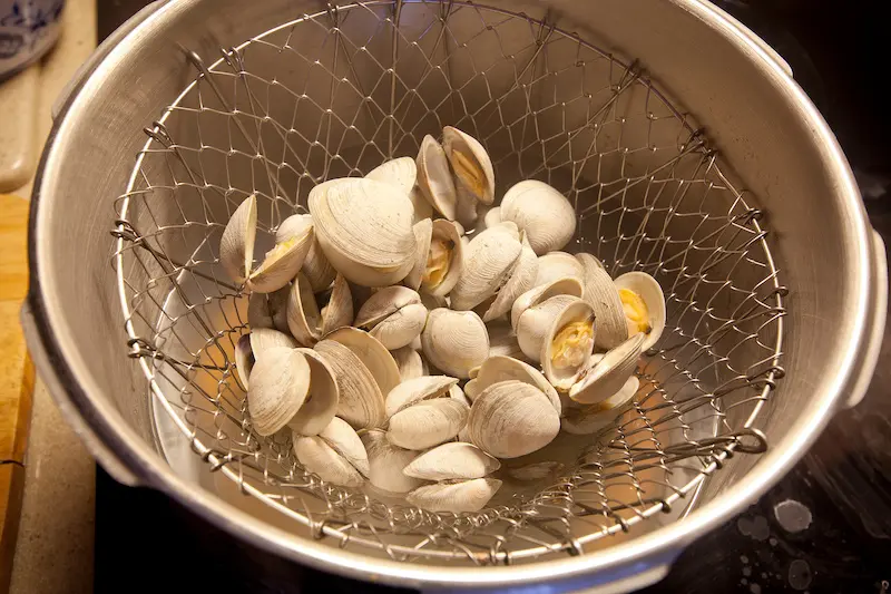 Steamed fish showing steamed clams in a basket. 