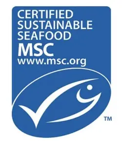 World Oceans Day showing the MSC blue fish label. 