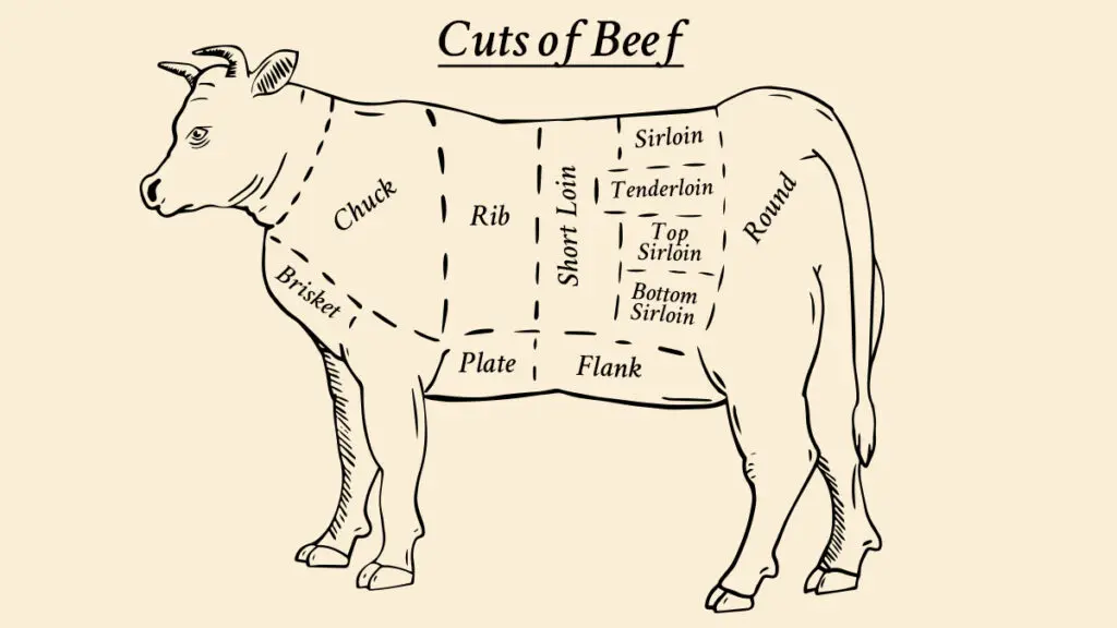 cuts of beef diagram