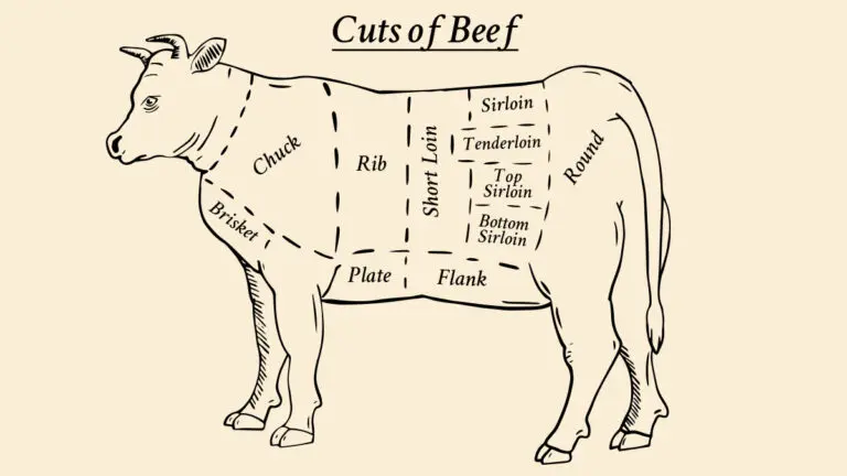 cuts of beef diagram