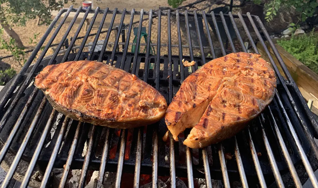 Grilled salmon steaks on a large grill outside.