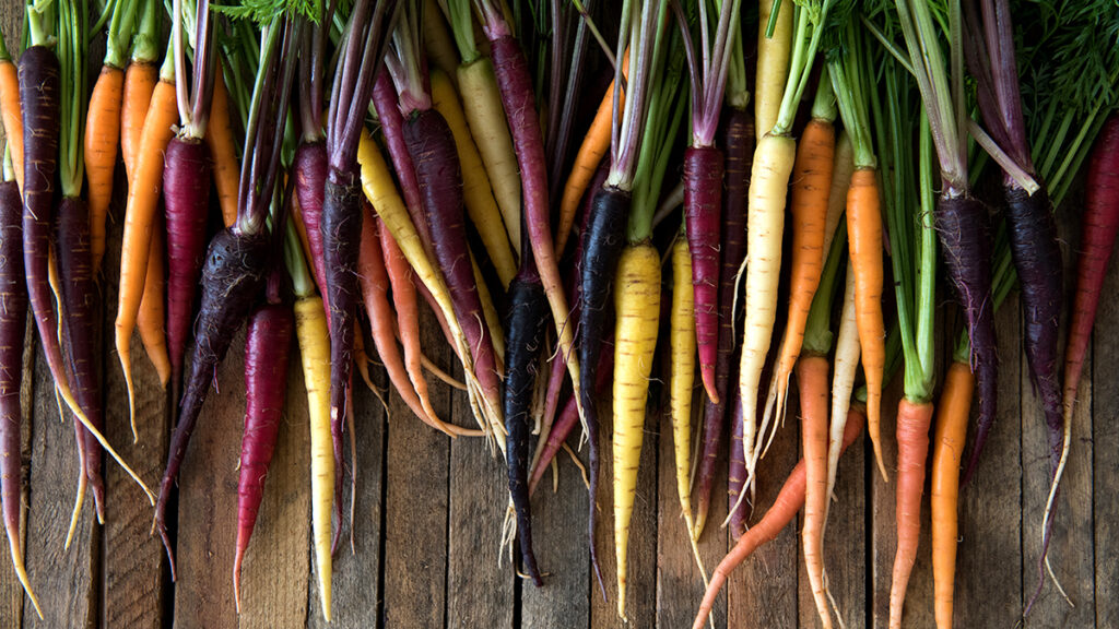 Multi-colored carrots on a wooden table.