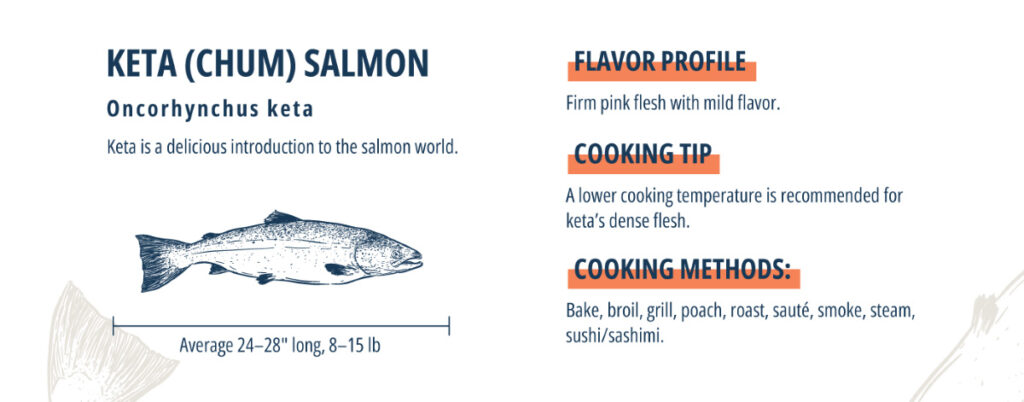 5 Types of Salmon  Vital Choice Blog