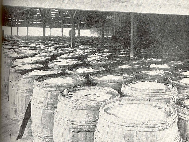 fish expressions codfish salted in butts preparatory to drying