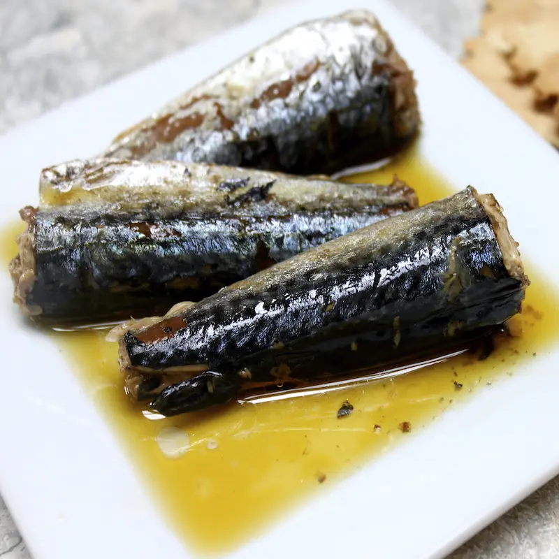 Mackerel Fun Facts Vital Choice Blog