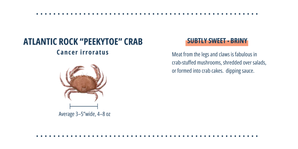 Types of crab, Atlantic "peekytoe" crab infographic.