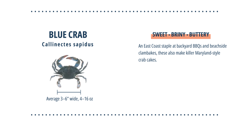 Types of crab, blue crab infographic.