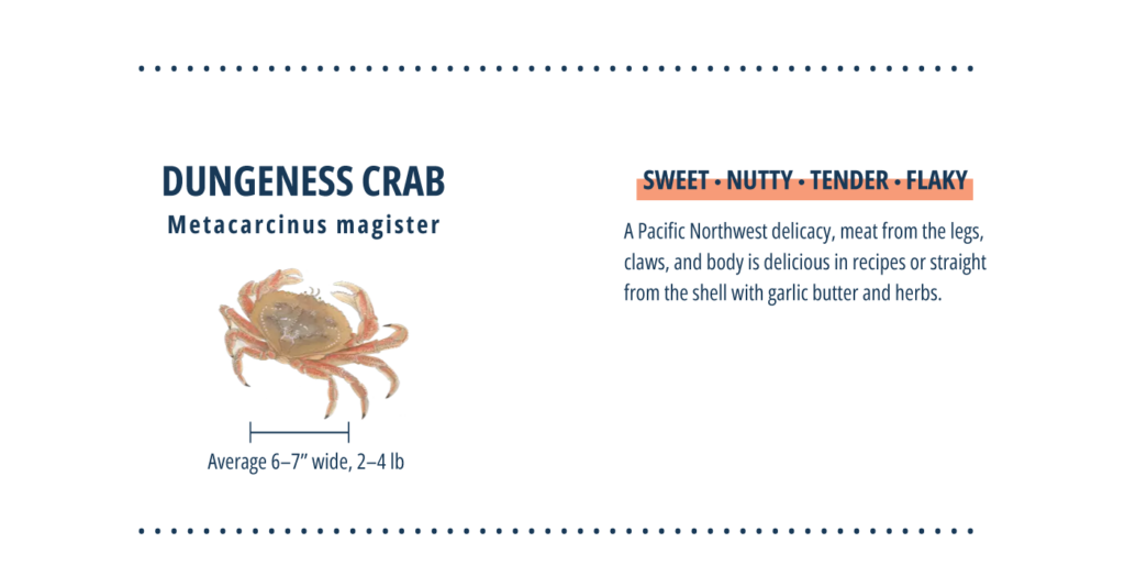 Dungeness crab infographic.