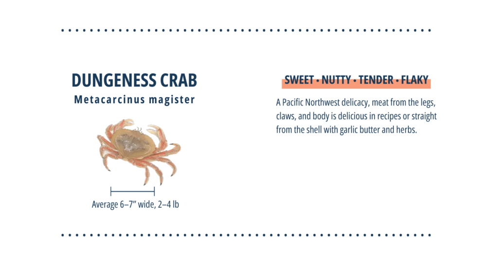 Dungeness crab infographic.