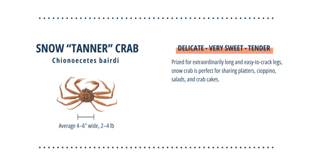 Tanner crab infographic.