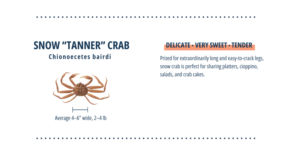 Tanner crab infographic.