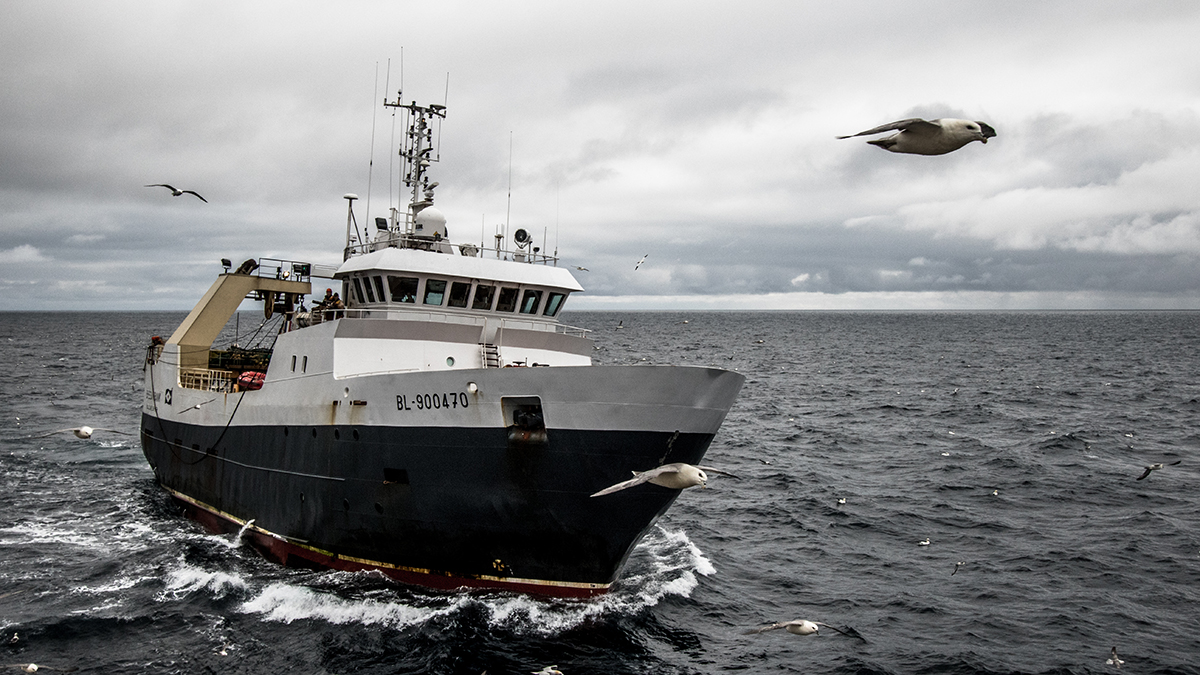 What Is the Marine Stewardship Council? VitalChoice Blog