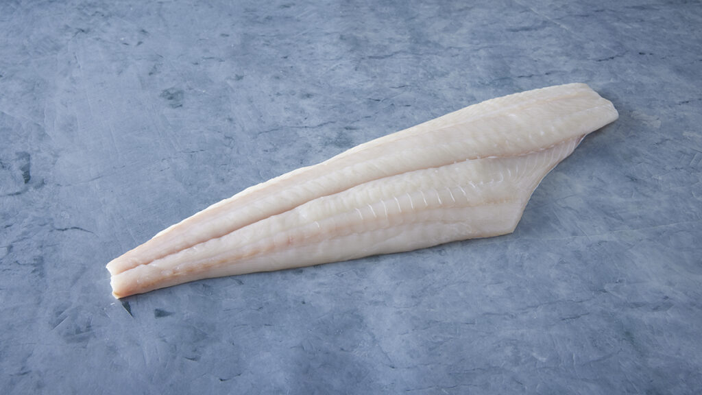 types of white fish halibut fillet